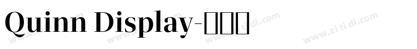 Quinn Display字体转换